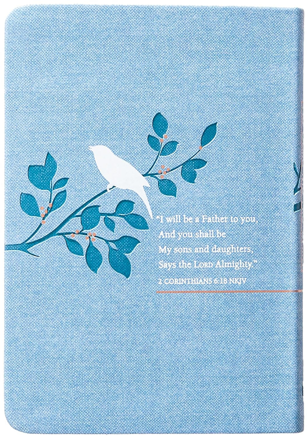 He Calls Me His Child: 100 Days of Meditations on the Promises of God