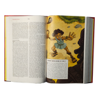 The Brave Boys Devotional Bible