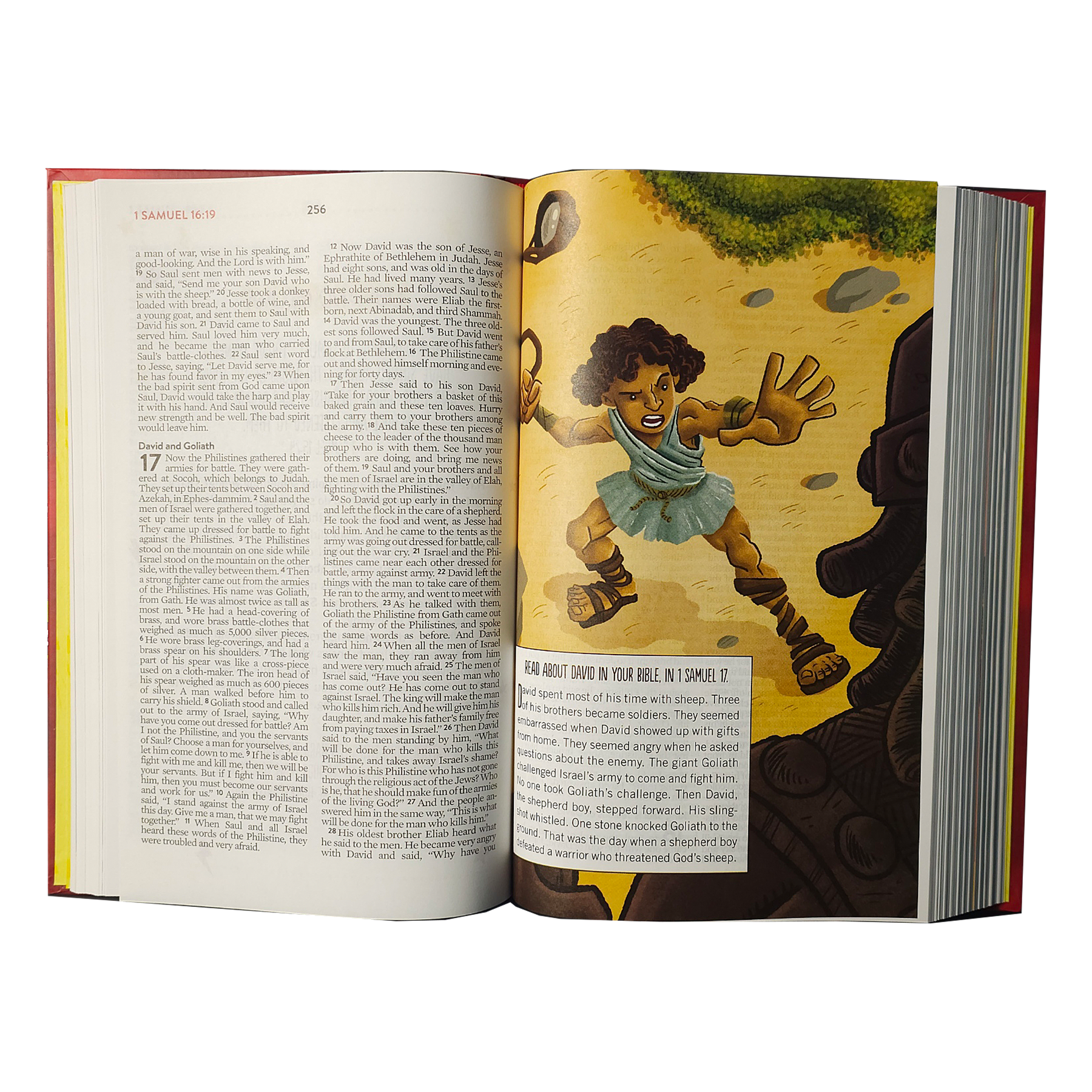 The Brave Boys Devotional Bible