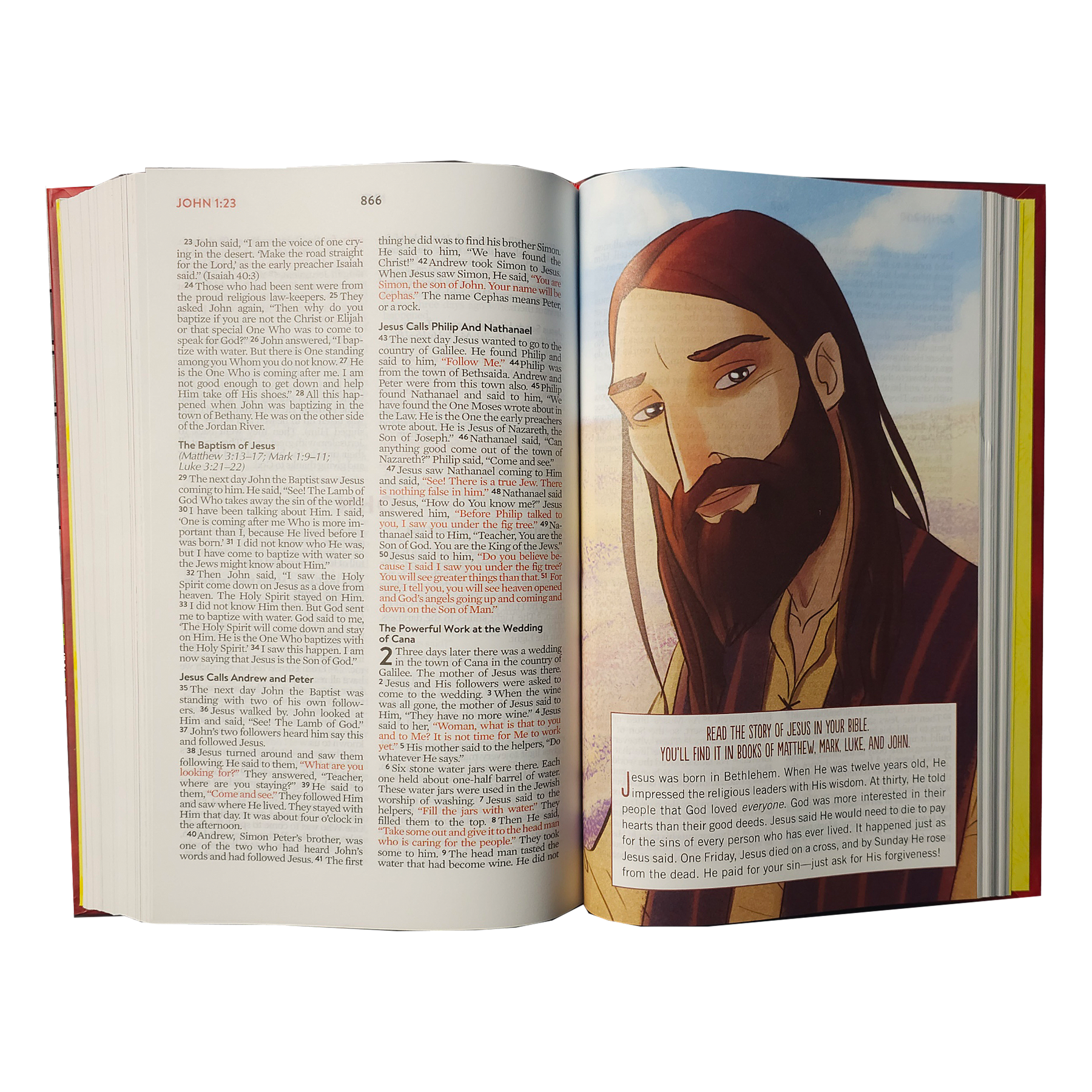 The Brave Boys Devotional Bible